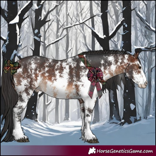 Horse Color:Brown Sabino 