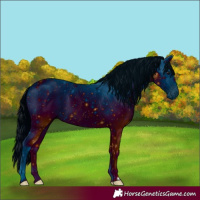 Horse Color:ERROR: UNKNOWN ANOMALY