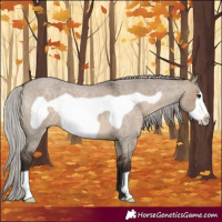 Horse Color:Silver Brown Roan Dun Frame 