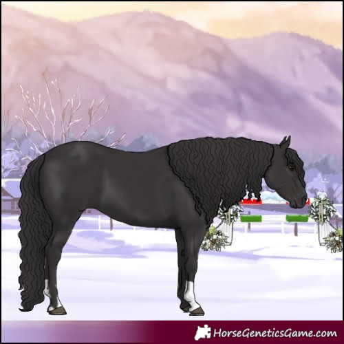 Horse Color:Smoky Black  and Smoky Black 