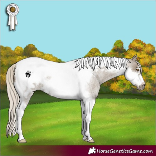 Horse Color:Silver Smoky Grullo Roan Tobiano Frame 