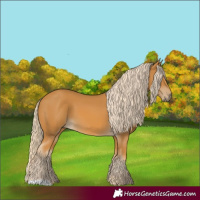 Horse Color:Palomino