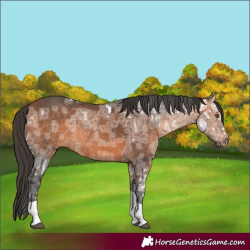 Horse Color:Bay Ice Tobiano Rabicano 