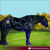 Horse Color:ERROR: UNKNOWN ANOMALY