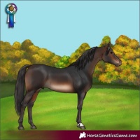 Horse Color:Brown 