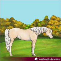Horse Color:Silver Smoky Black Pearl