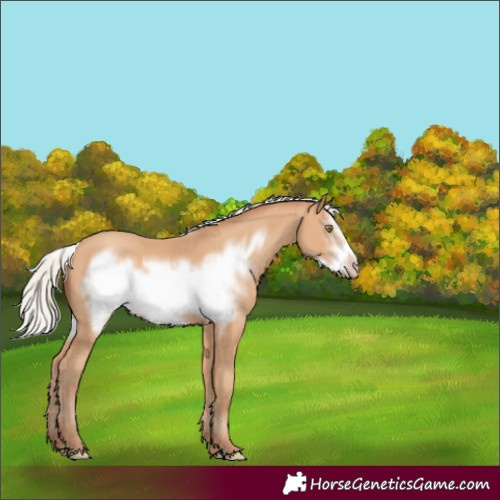 Horse Color:Silver Amber Champagne Frame 