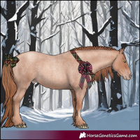 Horse Color:Gold Champagne Roan 