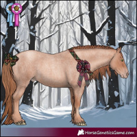 Horse Color:Gold Champagne Roan 