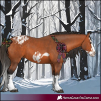 Horse Color:Bay Splash Frame  and Bay Splash Frame Appaloosa 