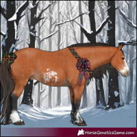Horse Color:Bay Splash Frame and Bay Frame