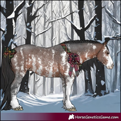 Horse Color:Brown Sabino Rabicano 