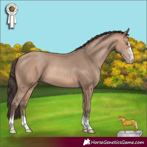 Horse Color:Amber Champagne 