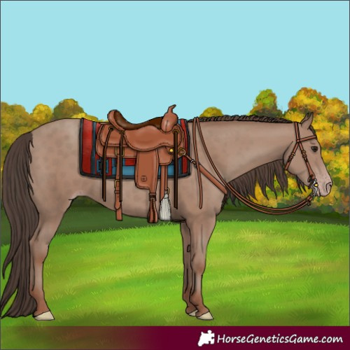 Horse Color:Classic Champagne 
