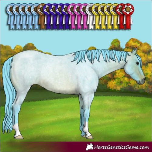 Horse Color:Watercolor Brown Roan Rabicano 