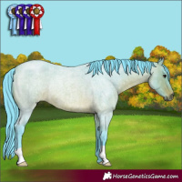 Horse Color:Watercolor Brown Roan Rabicano 