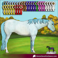 Horse Color:Watercolor Brown Roan Rabicano 