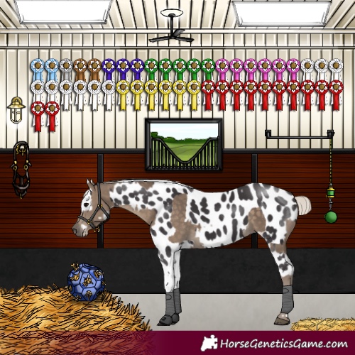 Horse Color:Silver Smoky Black Rabicano and Smoky Black Sabino Appaloosa Rabicano