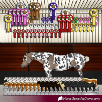 Horse Color:Silver Smoky Black Rabicano  and Smoky Black Sabino Near Leopard Rabicano 