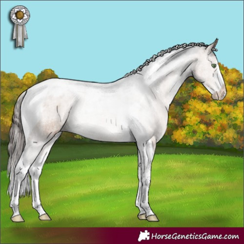 Horse Color:Brown Dun Sabino Tobiano Blanket 