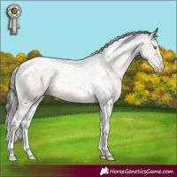 Horse Color:Brown Dun Sabino Tobiano Blanket 