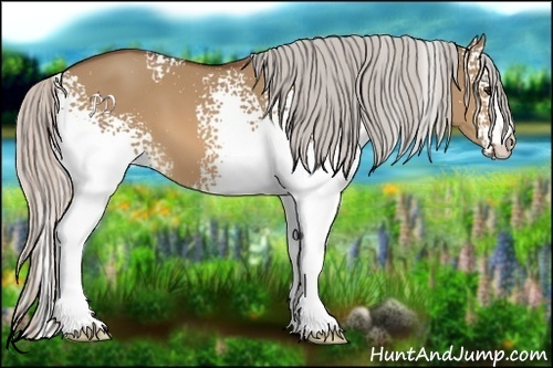 Horse Color:White Spotted Silver Bay Dun 