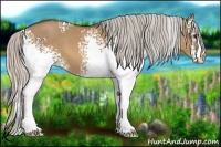 Horse Color:White Spotted Silver Bay Dun 