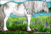 Horse Color:White Spotted Chocolate Palomino