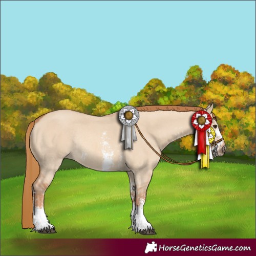 Horse Color:Red Dun Sabino Rabicano 