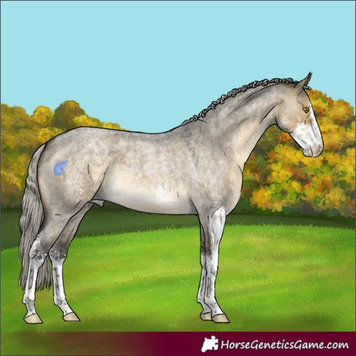 Horse Color:Silver Buckskin Roan Dun Sabino 