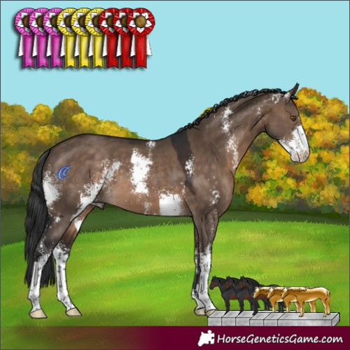 Horse Color:Brown Dun Sabino 