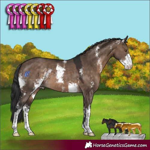 Horse Color:Brown Dun Sabino 