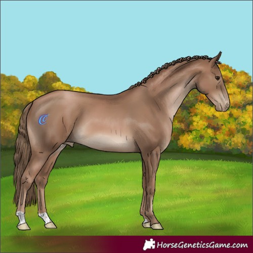 Horse Color:Black Pearl 