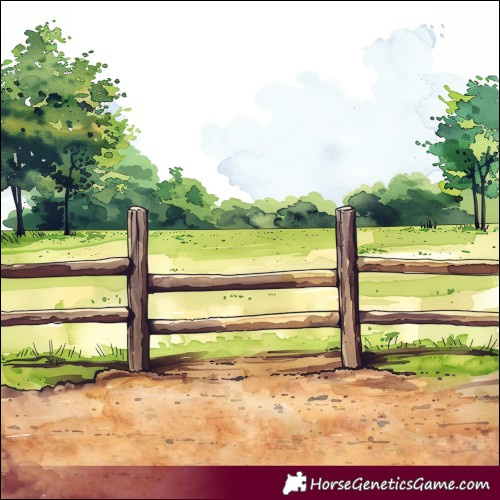 Horse Color:Black Sabino Tobiano 