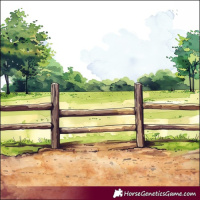 Horse Color:Black Sabino Tobiano 