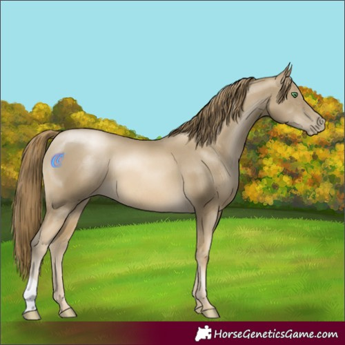 Horse Color:Smoky Black Pearl 