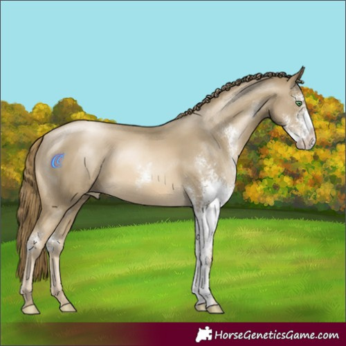 Horse Color:Smoky Black Pearl Sabino 