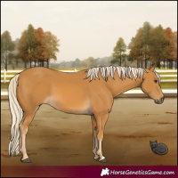 Horse Color:Palomino 