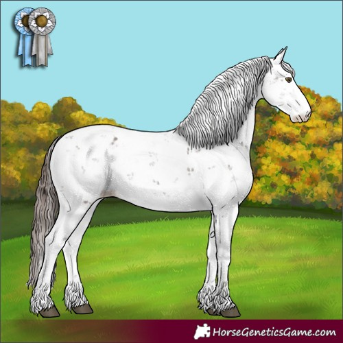 Horse Color:Liver Chestnut Sabino 