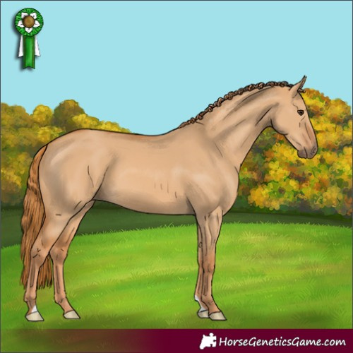 Horse Color:Red Dun 