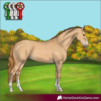 Horse Color:Red Dun 
