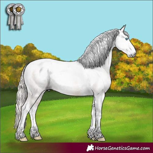 Horse Color:Gray Silver Buckskin Pearl Dun Sabino Tobiano 