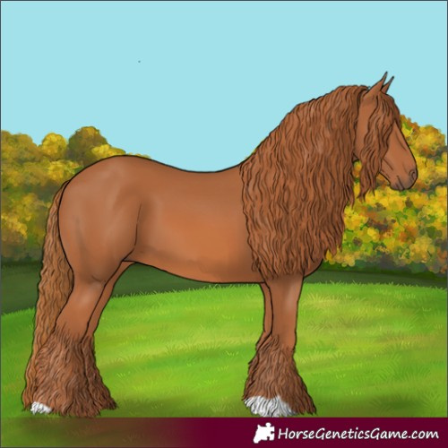 Horse Color:Chestnut 
