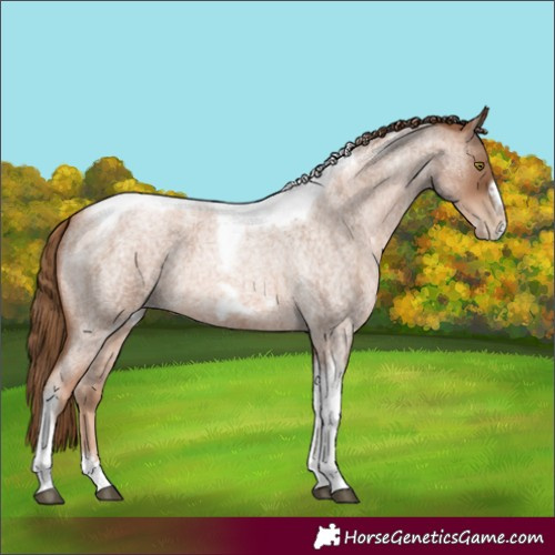 Horse Color:Liver Red Roan Pearl Tobiano Frame 
