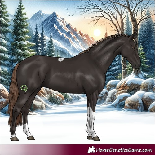 Horse Color:Liver Chestnut and Liver Chestnut Tobiano