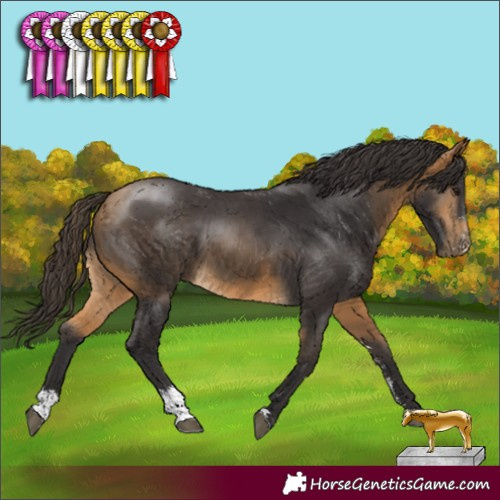 Horse Color:Buckskin Sabino 