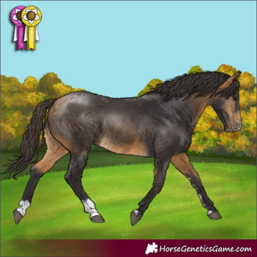 Horse Color:Buckskin Sabino 
