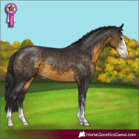 Horse Color:Buckskin Sabino