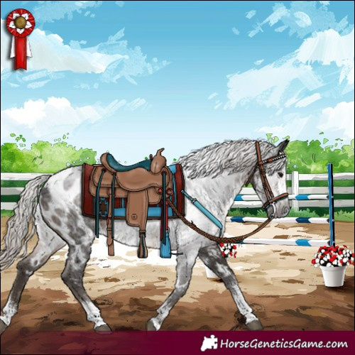 Horse Color:Gray Silver Black Sabino Near Leopard 