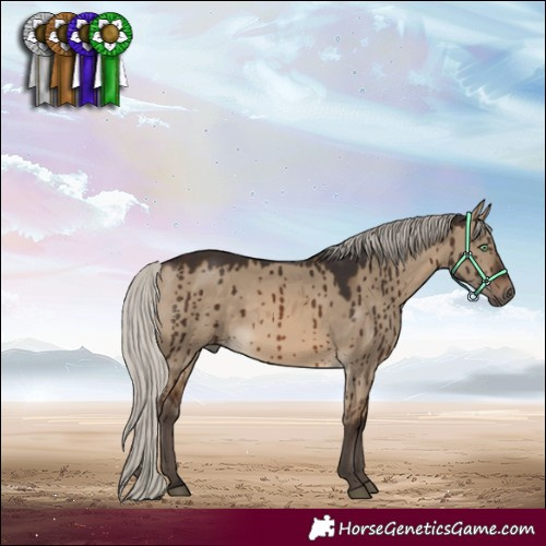 Horse Color:Silver Brown Dun Brindle 
